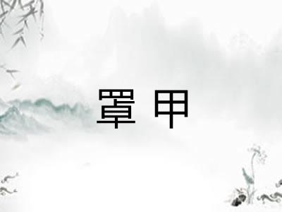 罩甲