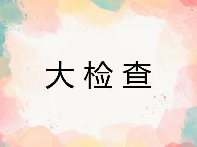 大检查
