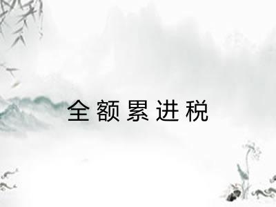 全额累进税