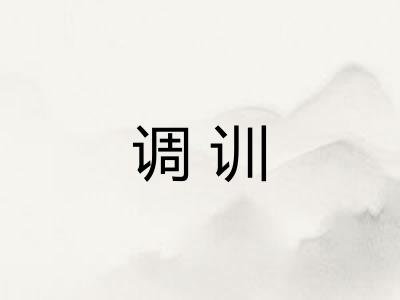 调训