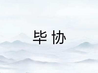 毕协