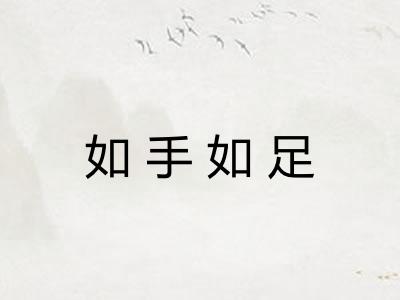 如手如足