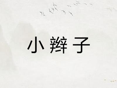 小辫子