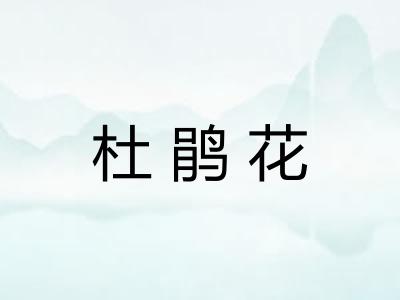 杜鹃花