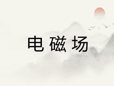电磁场