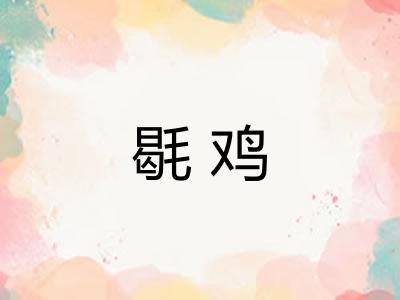 毼鸡