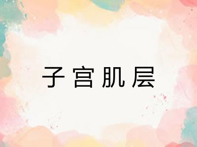 子宫肌层
