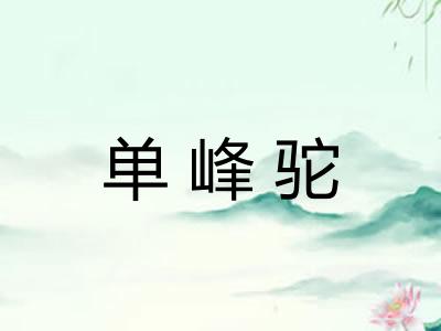 单峰驼