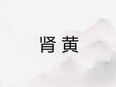 肾黄
