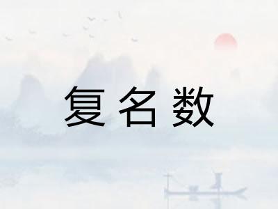 复名数