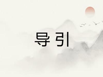 导引