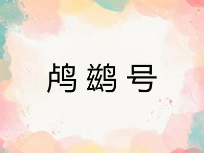 鸬鹚号