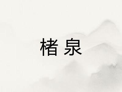 楮泉