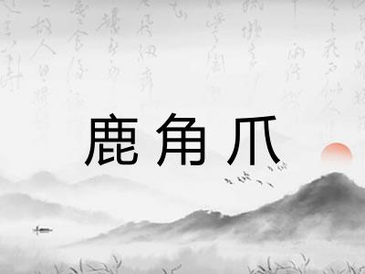 鹿角爪
