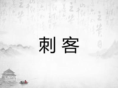刺客