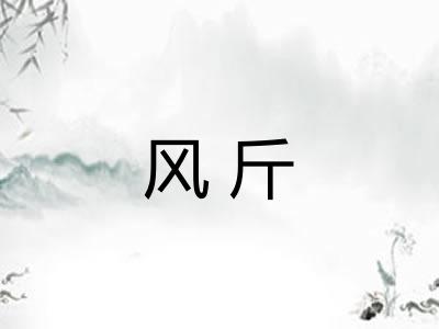 风斤