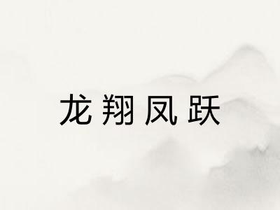 龙翔凤跃