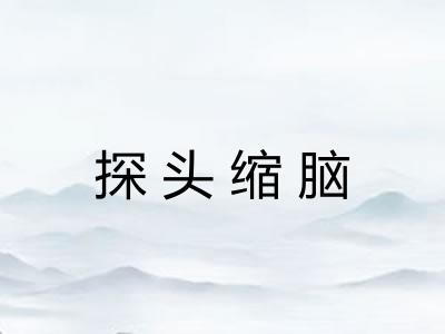 探头缩脑
