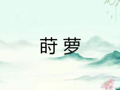 莳萝
