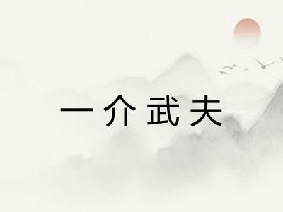 一介武夫