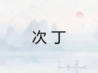 次丁