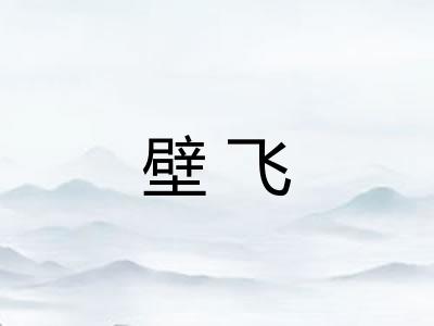壁飞