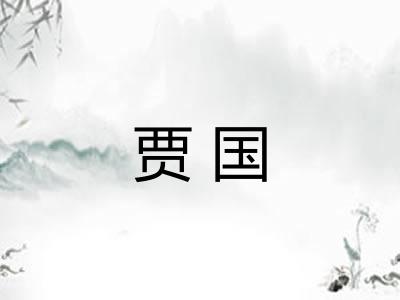 贾国