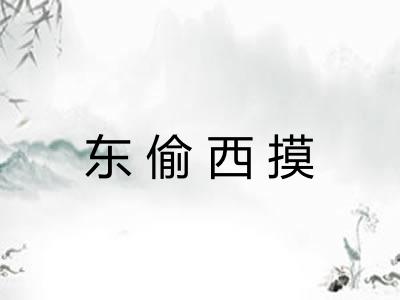 东偷西摸