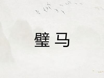 璧马