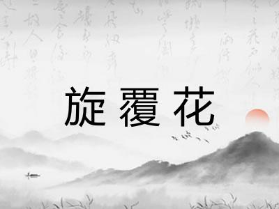 旋覆花