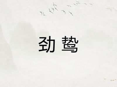劲鸷