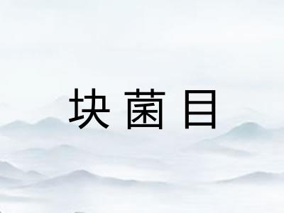 块菌目