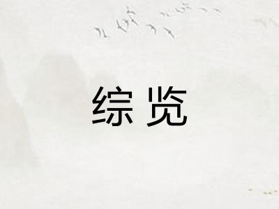 综览