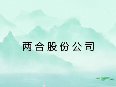 两合股份公司