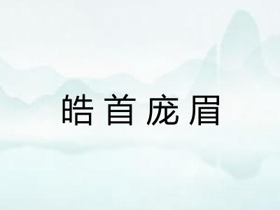 皓首庞眉