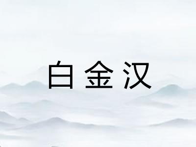白金汉