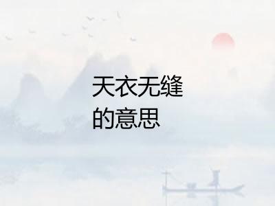 天衣无缝的意思