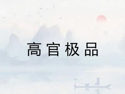 高官极品