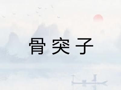 骨突子