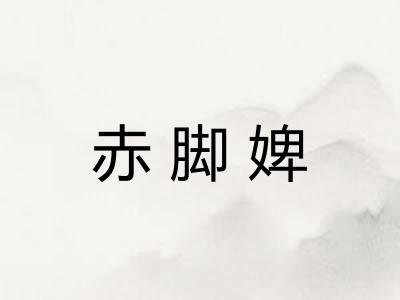赤脚婢
