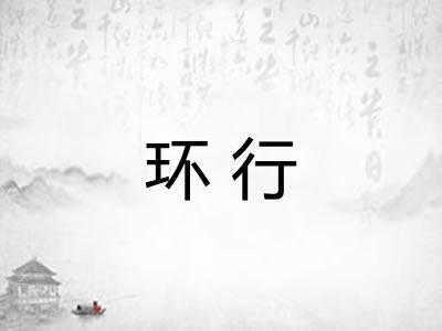 环行