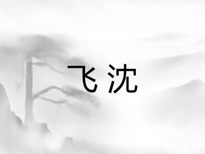 飞沈