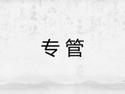 专管