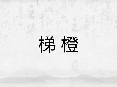 梯橙