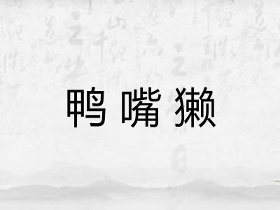鸭嘴獭
