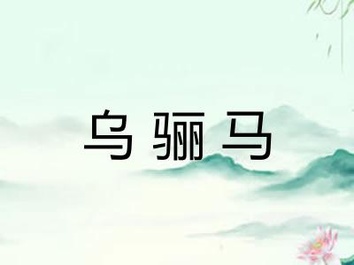 乌骊马