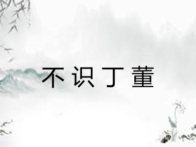 不识丁董
