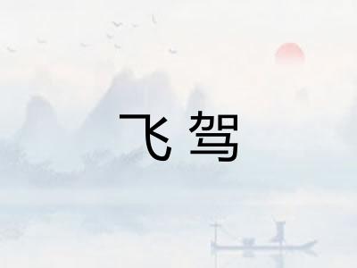 飞驾