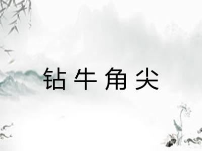钻牛角尖