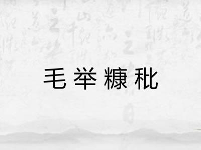 毛举糠秕
